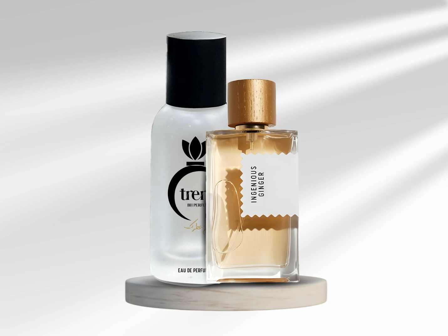 إنجينيس جينجر