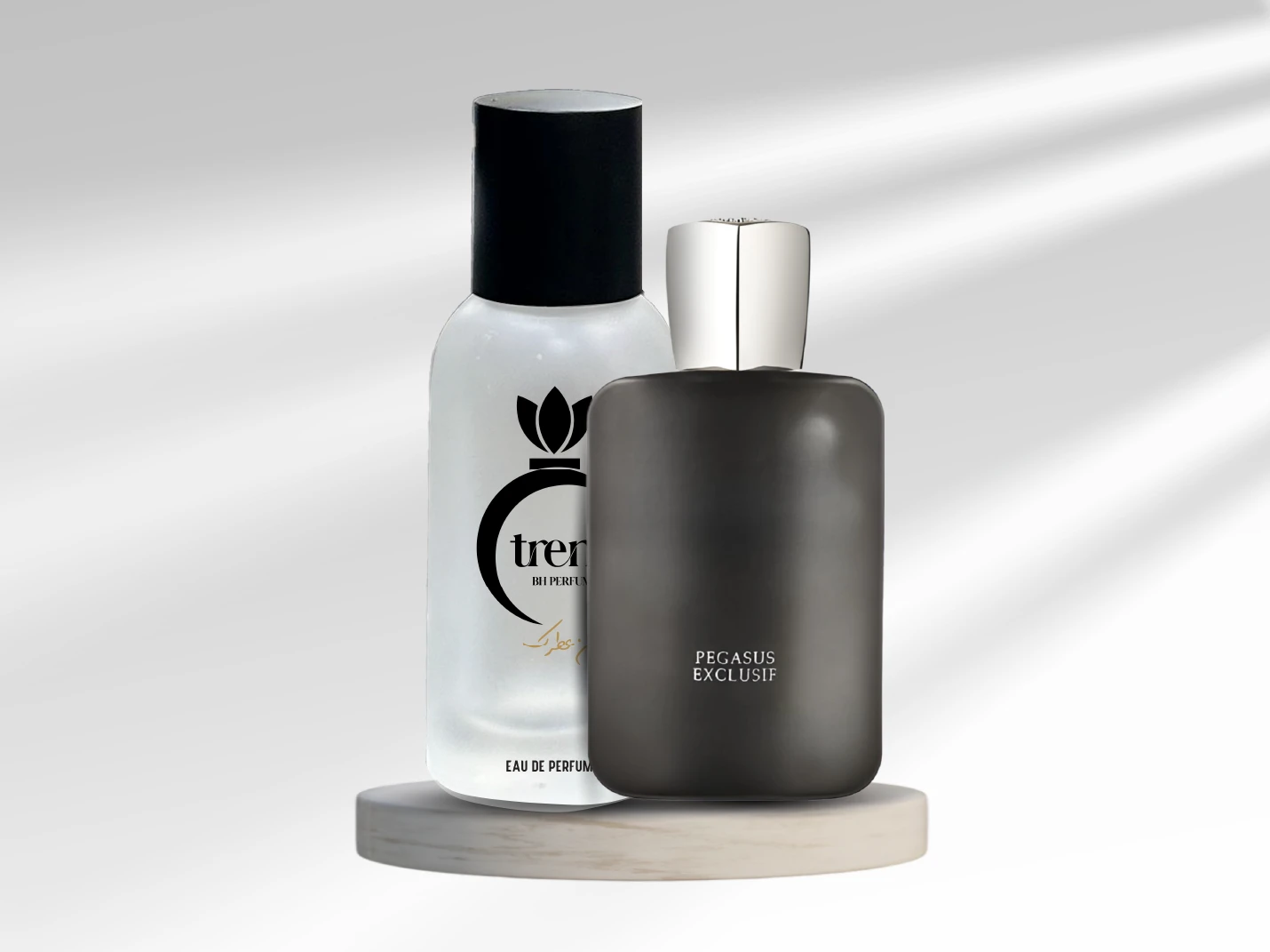 بيجاسوس اكسكلوسف