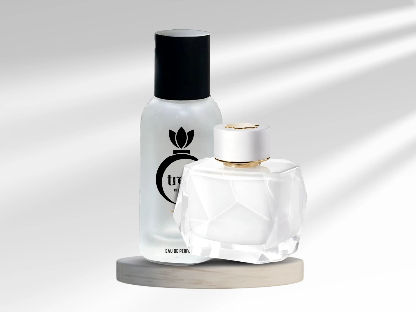 سيجنتشر النسائي